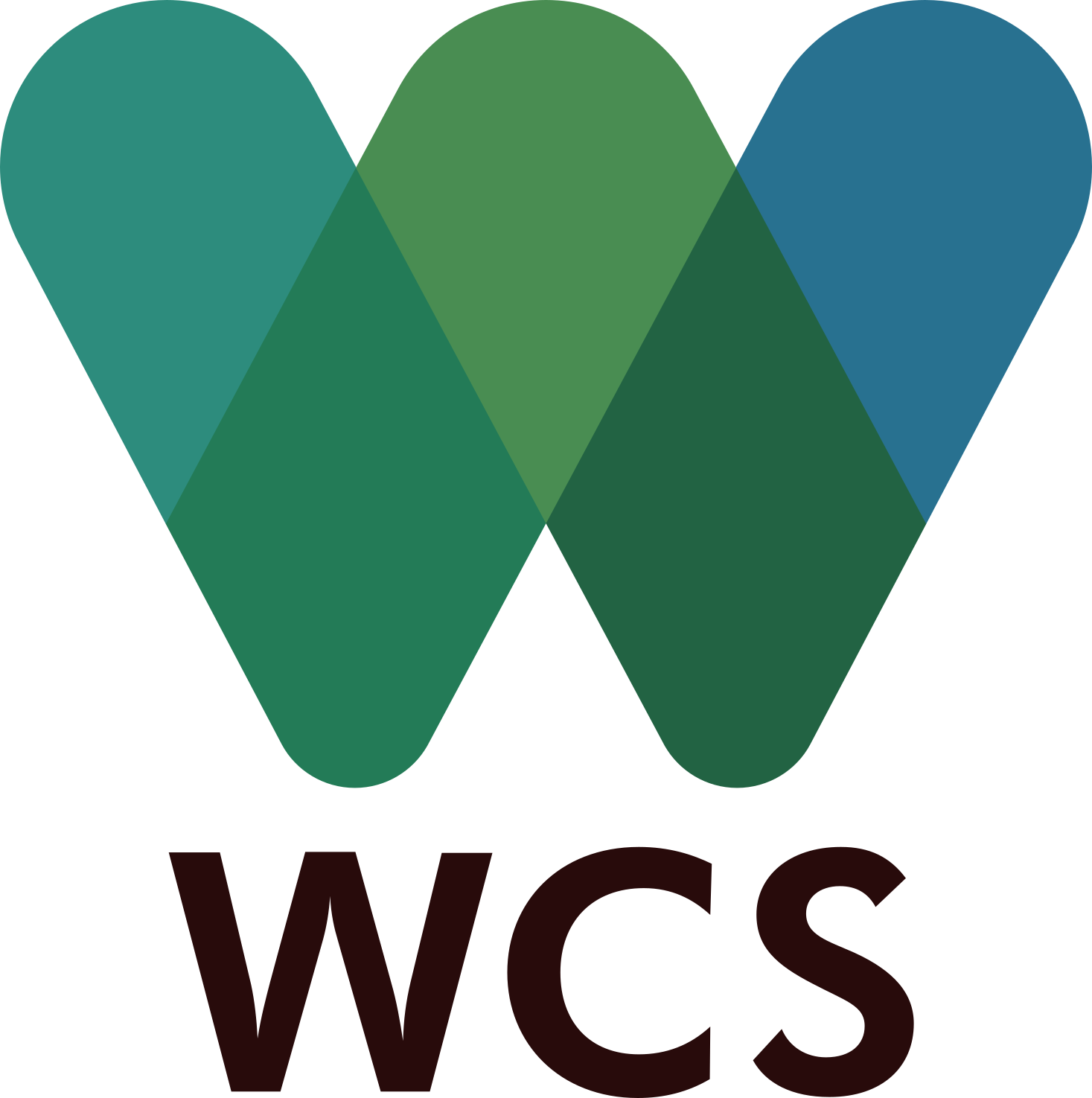 Institution Logo