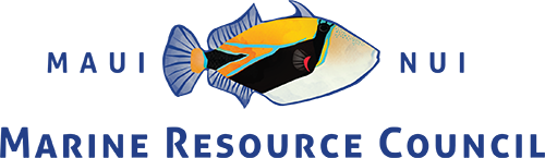 Institution Logo